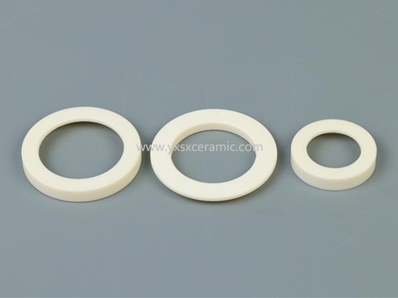 shenxing ceramic high precision 99% alumina ceramic ring for sealing - Yixing Shenxing