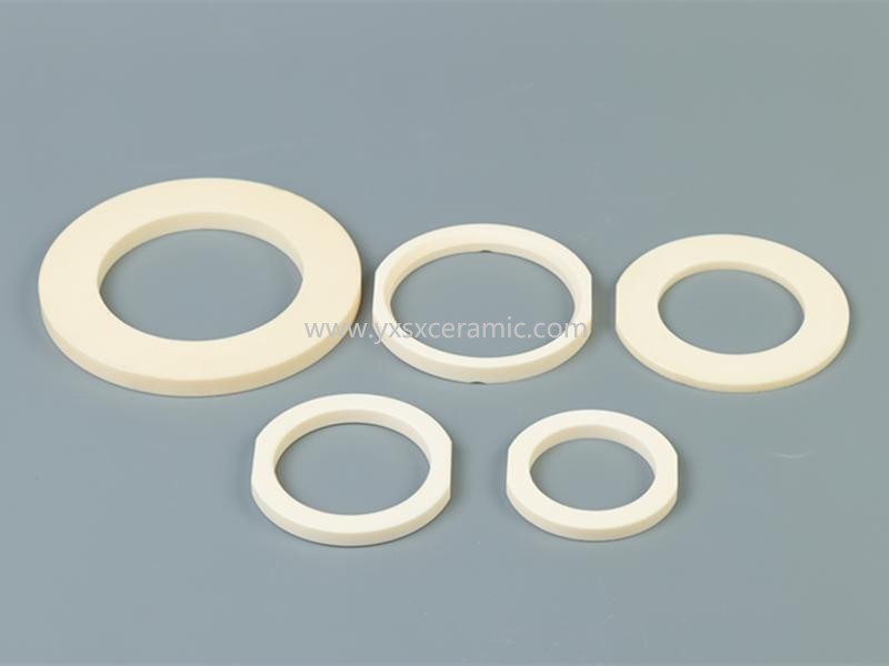 shenxing ceramic high precision corrosion resistant valve pump 99% alumina ceramic sealing ring - Yixing Shenxing